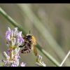 20150712_0006